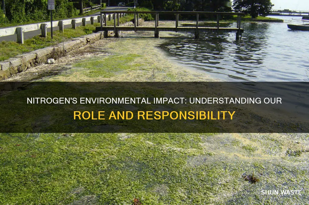 how do we impact our environment using nitrogen