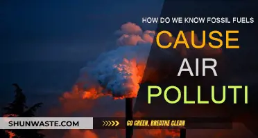 Unveiling the Evidence: Fossil Fuels and Air Pollution