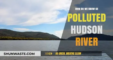The Hudson River's Pollution: A Historical Perspective
