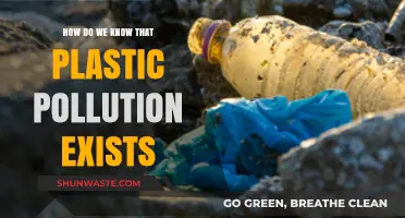 Plastic Pollution: How Do We Know It's Real?