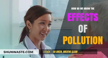 Pollution's Impact: Understanding the Devastating Effects