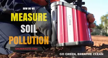 Soil Pollution: Measuring the Damage
