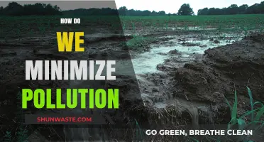 Reducing Pollution: Strategies for a Cleaner World