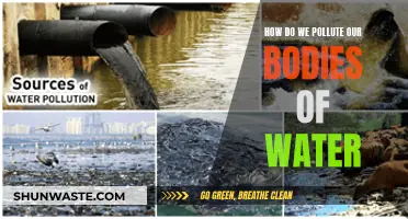 Unveiling the Hidden Threats: How Human Actions Pollute Our Waterways