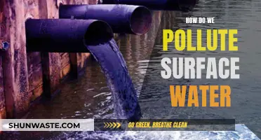 Unveiling the Hidden Dangers: How We Pollute Surface Water