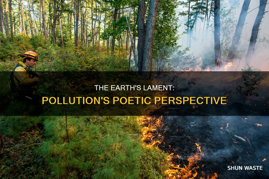 how do we pollute the earth according to the poet