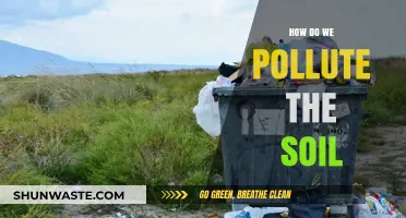 Soil Pollution: Human Activities That Harm the Earth