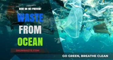 Preventing Ocean Waste: Sustainable Solutions for a Cleaner Future