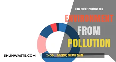 Protecting Our Environment: Strategies Against Pollution