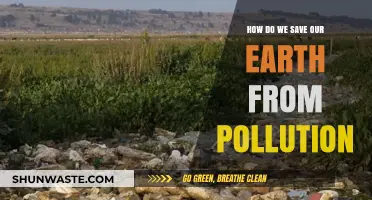Protecting Our Earth: Reducing Pollution's Impact