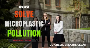 Mitigating Microplastic Pollution: Strategies for a Sustainable Future