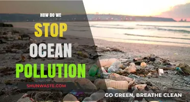 Combating Ocean Pollution: Strategies for a Sustainable Future