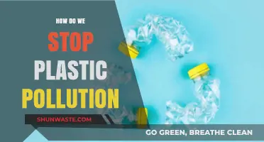 Ending Plastic Pollution: Actionable Steps to Take Today