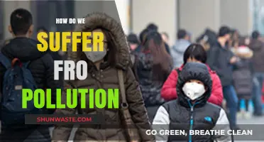 Pollution's Impact: Understanding Our Suffering