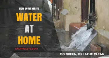 Everyday Water Waste: Uncovering Hidden Habits Draining Our Home Resources