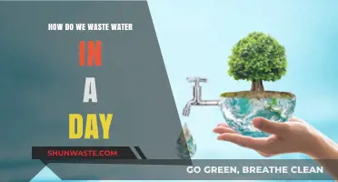 Daily Water Waste: Uncovering Hidden Habits Draining Our Precious Resource