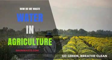 Preventing Water Waste in Agriculture: Strategies for Sustainable Farming Practices