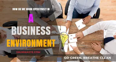 Mastering Productivity: Strategies for Effective Business Environment Collaboration