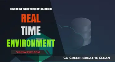 Mastering Real-Time Database Operations in Dynamic Environments