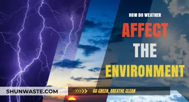 Weather's Impact: Shaping Ecosystems, Climate, and Environmental Balance