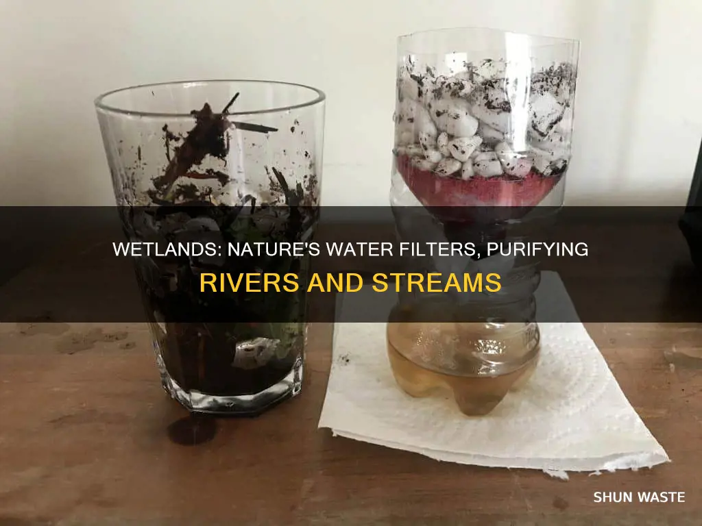 how do wetlands help reduce water pollution