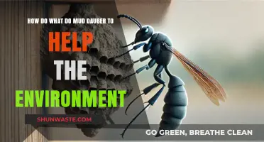 Mud Daubers' Eco-Friendly Role: How These Wasps Benefit Our Environment