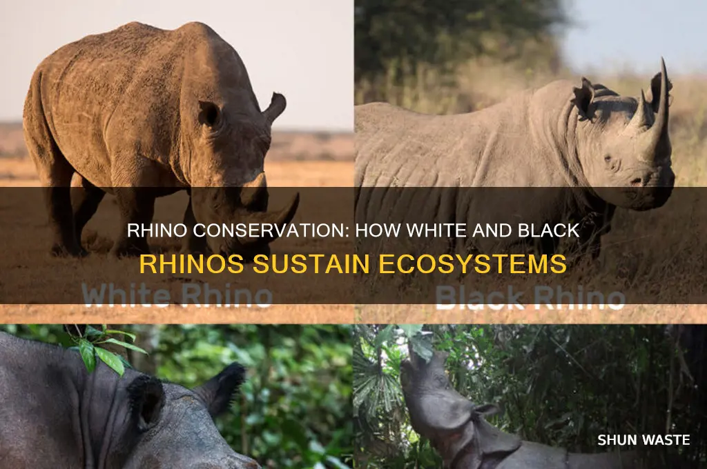 how do white and black rhinos help the environment