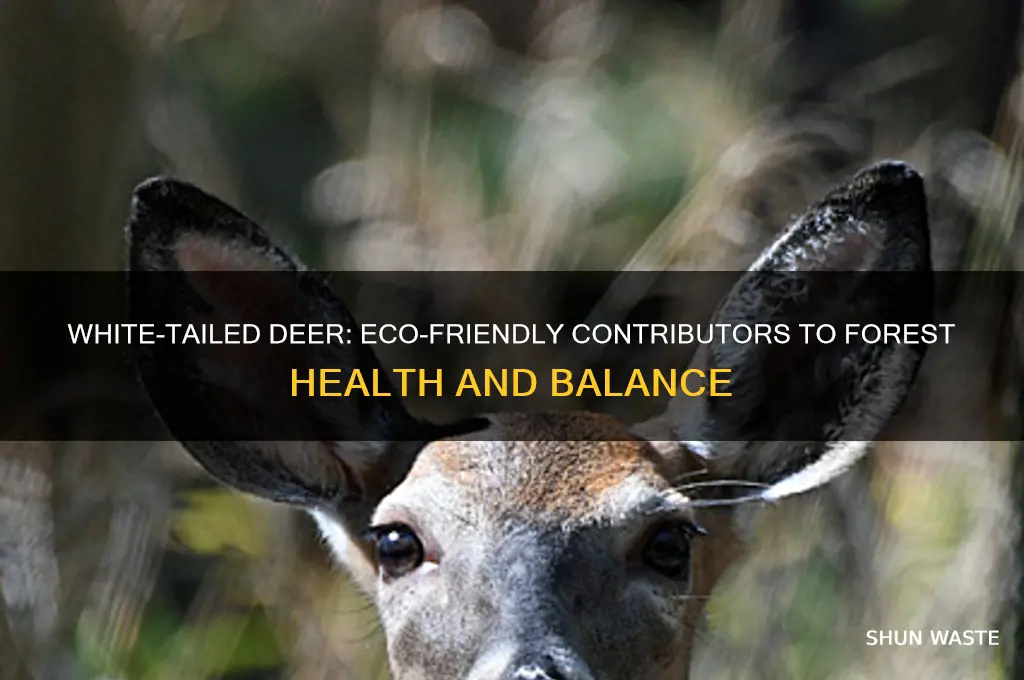 how do white tailed deer help the environment