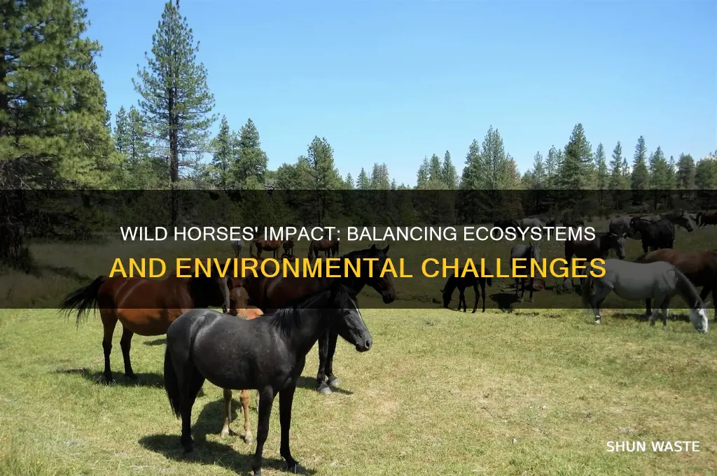 how do wild horses affect the environment