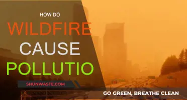 Wildfires' Toxic Legacy: Unveiling the Hidden Pollution Crisis