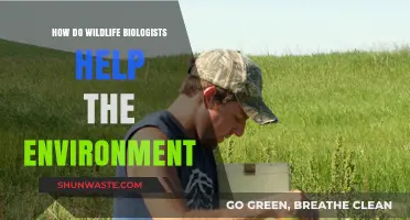 Wildlife Biologists: Guardians of Ecosystems and Environmental Stewards