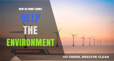 Wind Farms: Clean Energy Solutions for a Greener, Sustainable Future