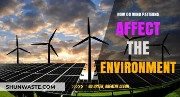 Wind's Environmental Impact: Shaping Ecosystems, Climate, and Weather Patterns