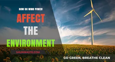 Wind Power's Environmental Impact: Benefits, Challenges, and Sustainability Insights