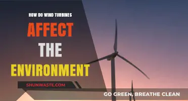 Wind Turbines' Environmental Impact: Benefits, Challenges, and Sustainability Insights