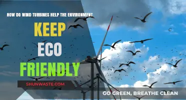 Wind Turbines: Eco-Friendly Power for a Sustainable Future