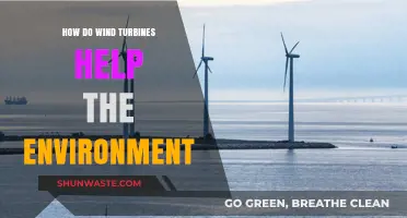Wind Turbines: Clean Energy Solutions for a Greener, Sustainable Future
