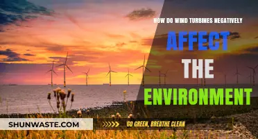 Wind Turbines' Environmental Impact: Uncovering Hidden Ecological Consequences
