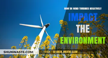 Wind Turbines' Environmental Downsides: Uncovering Hidden Ecological Impacts and Concerns