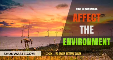 Windmills' Environmental Impact: Benefits, Challenges, and Sustainability Explained