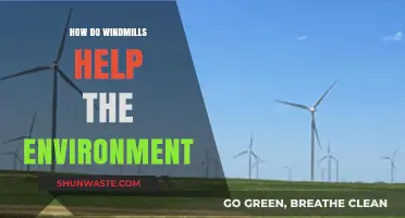 Windmills: Clean Energy Champions for a Greener, Sustainable Future