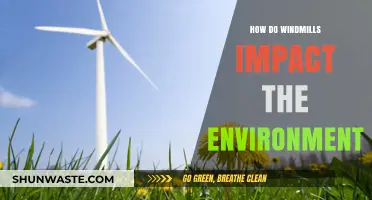 Windmills and the Environment: Positive Impacts and Potential Concerns