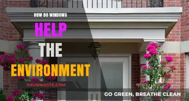 Eco-Friendly Windows: Enhancing Energy Efficiency and Reducing Environmental Impact