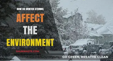 Winter Storms' Environmental Impact: Effects on Ecosystems and Landscapes
