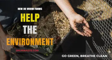 Worm Farms: Eco-Friendly Solutions for Sustainable Soil and Waste Reduction