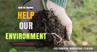 Worms: Unsung Heroes of Soil Health and Ecosystem Balance