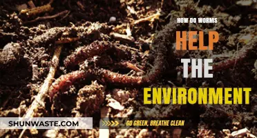 Worms: Unsung Heroes of Soil Health and Ecosystem Balance
