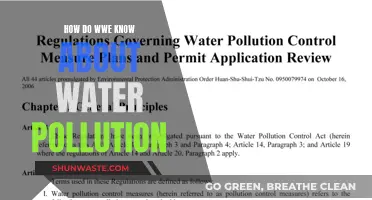 Unveiling Water Pollution: Sources, Impact, and Solutions