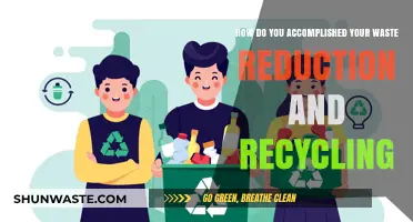 Sustainable Living: My Journey to Waste Reduction and Recycling Success