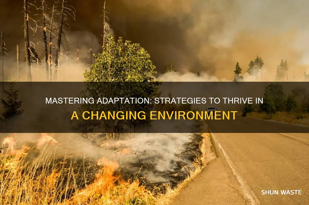 how do you adapt in changing environment answer